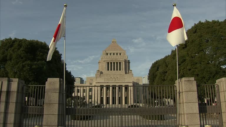 جاپان دو میلیون دالر برای کمک به بازگشت‌کنندگان افغان اختصاص داد