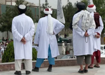 در پی اقدام محتسبان در بلخ و غزنی، شماری از افراد به اتهام جادوگری بازداشت شدند