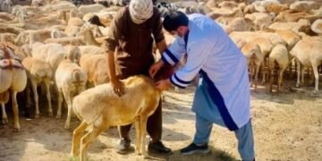 طالبان از روسیه برای تولید واکسین تب برفکی کمک خواستند