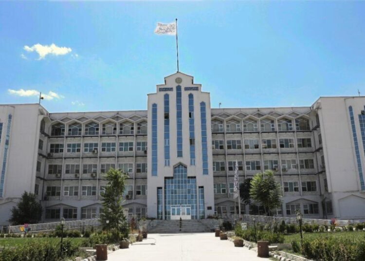 طالبان بیش از ۱۵۰۰ جریب زمین شهرک امید سبز کابل را امارتی اعلام کرد