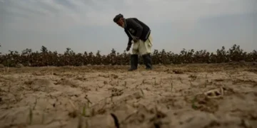 کاهش بارندگی و پایان ذخایر برف، بحران خشکسالی را در افغانستان تشدید کرده است