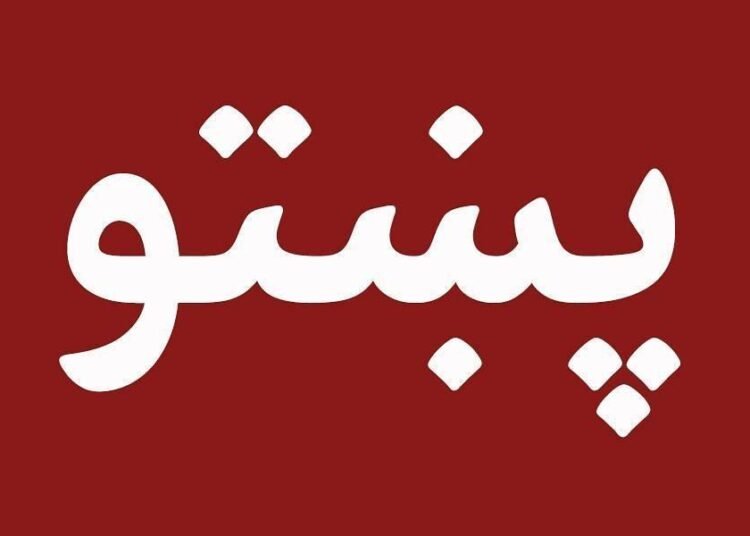 ۸ جوزا؛ روزی برای پاسداری از هویت فرهنگی زبان پشتو