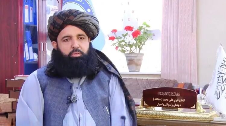 ولسوال طالبان: پغمان هر سال میزبان هزاران گردشگر از سراسر افغانستان است