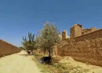 منابع: پدری در کلکان کابل دختر ۱۴ ساله خود را با ضربات بیلچه کشت