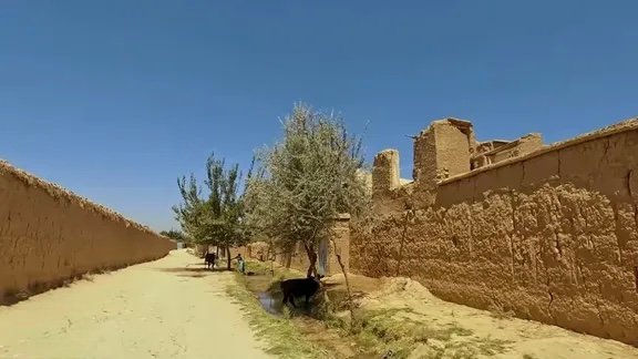 منابع: پدری در کلکان کابل دختر ۱۴ ساله خود را با ضربات بیلچه کشت