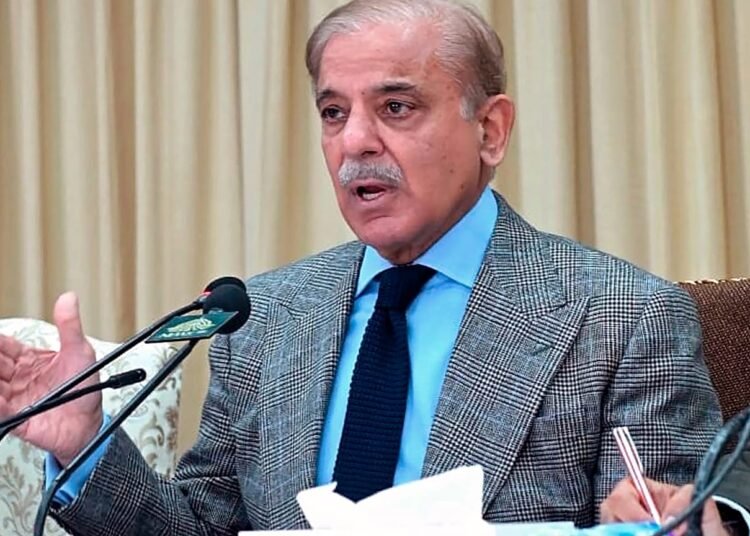 سفر وزیر کشور پاکستان به عربستان؛ شهباز شریف نیز راهی ایران و ترکیه میشود