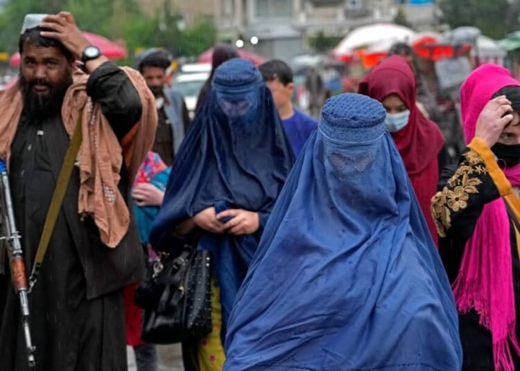 سازمان ملل: افغانستان هیچ آمار قابل ارائهای از حضور زنان در قدرت سیاسی ندارد