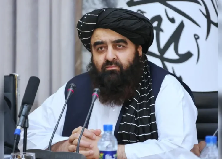 پیشنهاد طالبان به امریکا: بهجای جنگ، در افغانستان سرمایهگذاری کنید