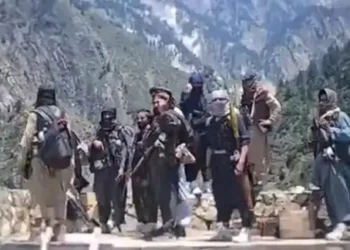 گزارش نیمروز از بازداشت فرماندهان و حامیان تحریک طالبان پاکستان در افغانستان