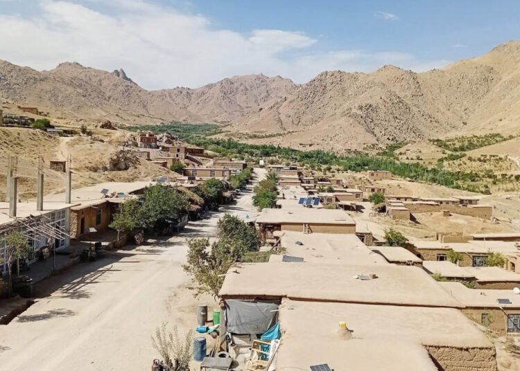 اختلاف بر سر مهریه به قتل انجامید؛ زن جوان در دایکندی کشته شد
