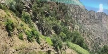 روایت‌های متضاد طالبان و جبهه آزادی از درگیری‌های نورستان