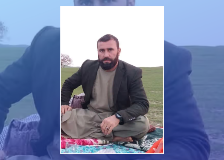 حسام‌الدین اکبری، آمر کلینیک دندان‌پزشکی بادغیس، در قلعه‌نو کشته شد