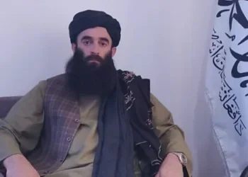 فرمانده پیشین طالبان: افغان‌ها باید از تمامیت ارضی کشور دفاع کنند