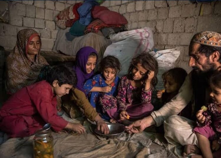 سازمان ملل: بیش از ۱۹ میلیون تن در افغانستان با ناامنی حاد غذایی روبهرو هستند